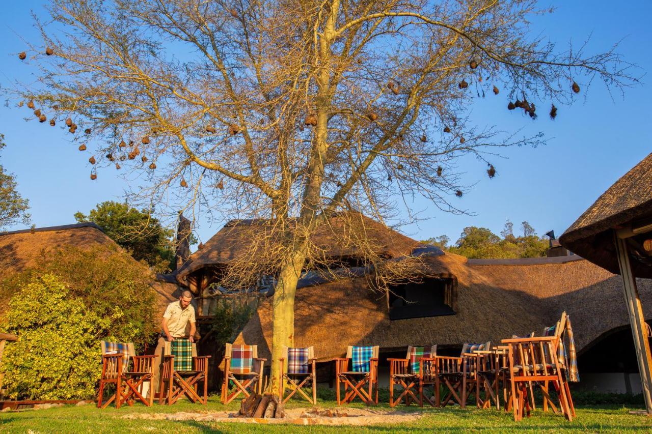 Lalibela Game Reserve Mark'S Camp Grahamstown Exteriér fotografie