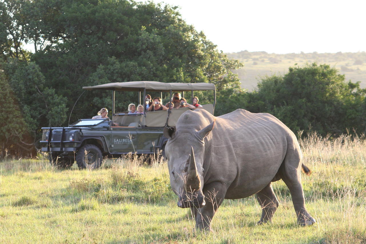Lalibela Game Reserve Mark'S Camp Grahamstown Exteriér fotografie