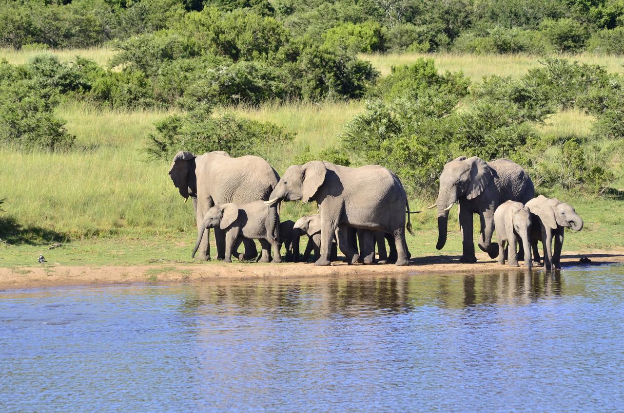 Lalibela Game Reserve Mark'S Camp Grahamstown Exteriér fotografie