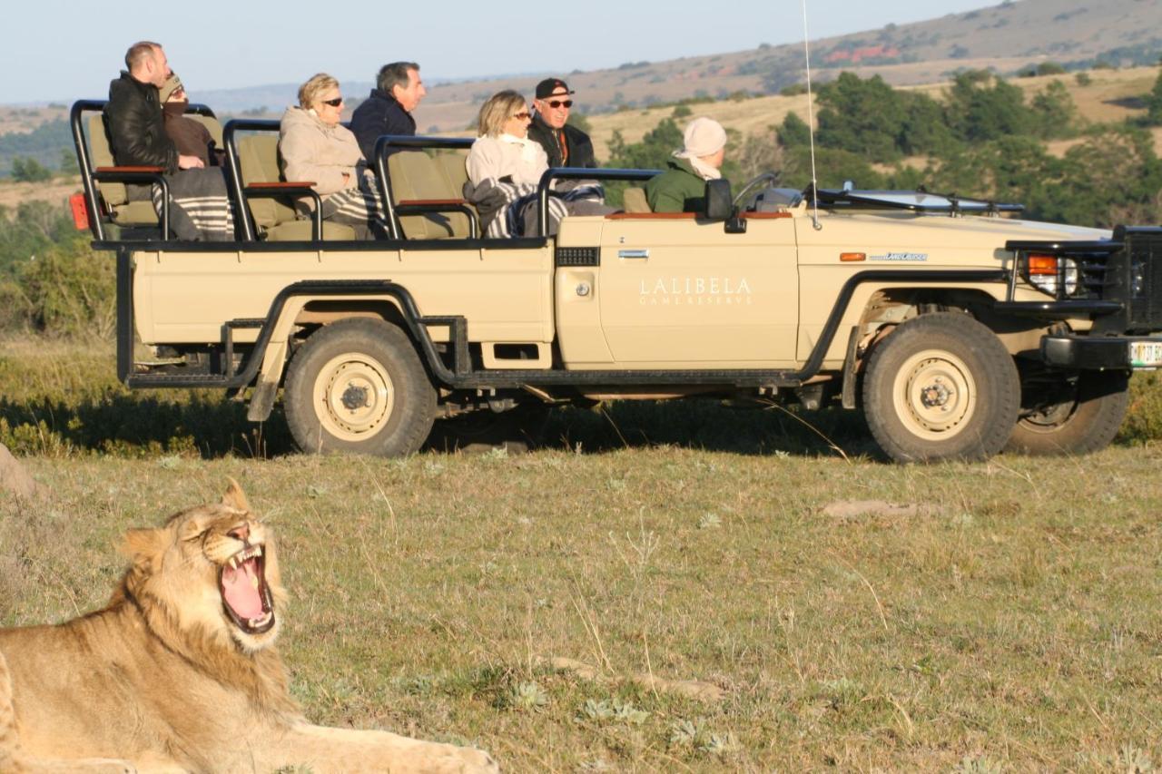 Lalibela Game Reserve Mark'S Camp Grahamstown Exteriér fotografie